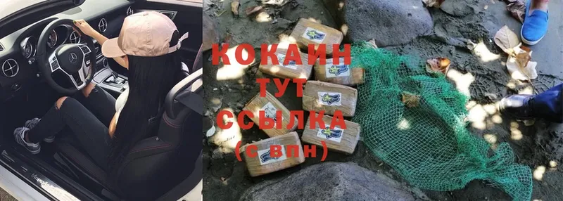 Cocaine Fish Scale  Рубцовск 